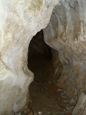 Had jeskyn - vstup