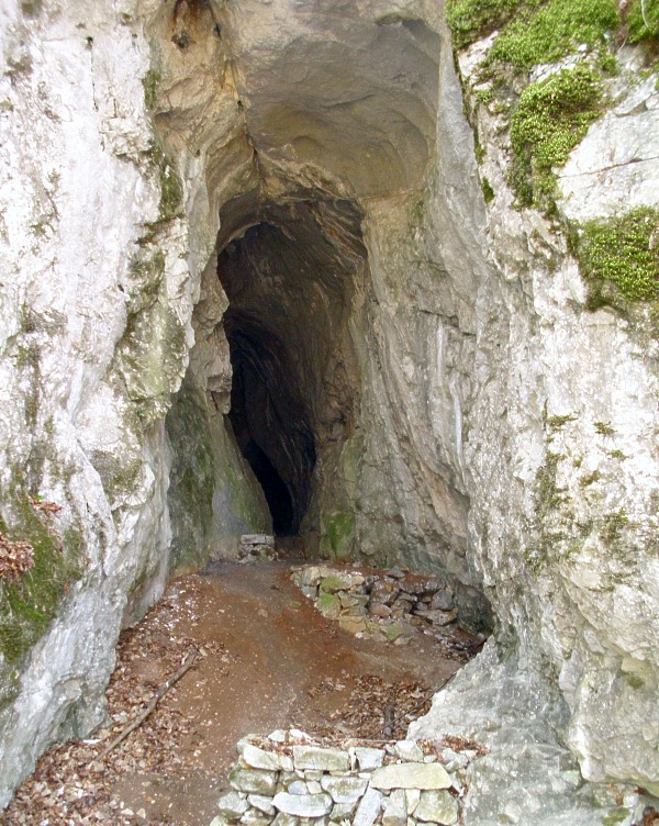 Jeskyn Klnika - portl