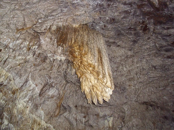 Ochozsk jeskyn - tvar Plce