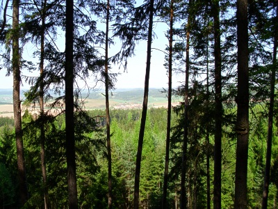 Les mezi Kladoruby a Pamticemi - vhled smr Kochov