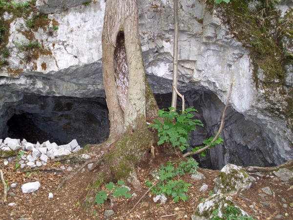 Portl jeskyn . 1205 hned vedle Partyznsk
