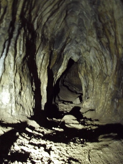 Jeskyn Nad vcrnou - lev plazivka