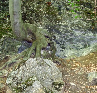 Jeskyn Nad vcrnou - pod pravm vchodem