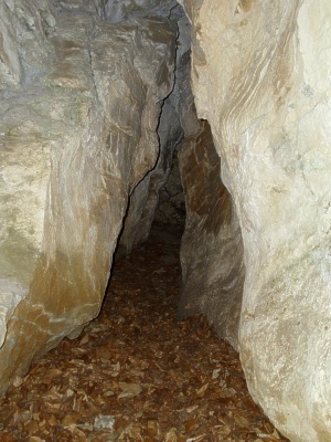 Jeskyn . 1233 - uvnit