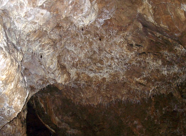 Mlina jeskyn - brkov vzdoba Bltivho dmu