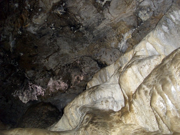 Jeskyn Netoprka - sintrov terasa v zadnm dmu