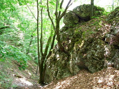Skaln bloky nad jeskyn 1231
