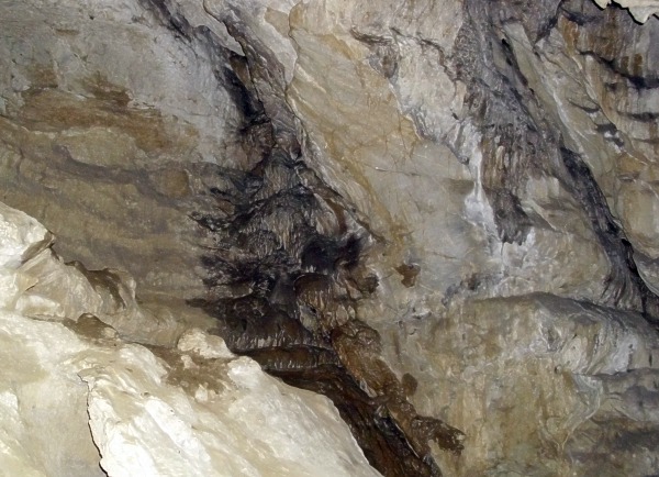 Jeskyn Jchymka - tmav sintropd
